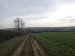 P2018DSC09362	The track leading down into Braybrooke.