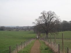 P2018DSC09412	The path leading to Middleton.