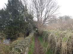 P2018DSC09423	The path between Middleton and Cottingham.