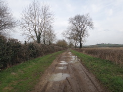 P2018DSC09431	Heading north along Occupation Road from Cottingham.