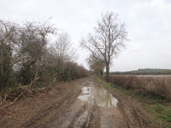 P2018DSC09432	Heading north along Occupation Road from Cottingham.