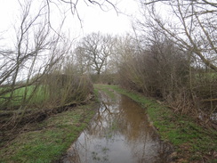 P2018DSC09437	The track becomes waerlogged.