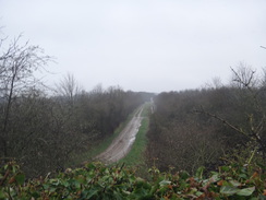 P2018DSC09544	The view along the old mineral railway to the south of Shotley.