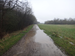 P2018DSC09554	The track heading west from Harringworth Lodge.