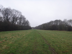 P2018DSC09556	The path heading west from Harringworth Lodge.