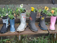 P2018DSC09561	Pretty wellies in Gretton.