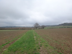 P2018DSC09581	The path between Rockingham and Gretton.