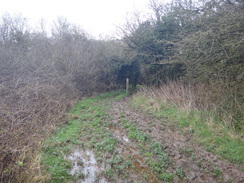 P2018DSC09587	A muddy section of path between Rockingham and Gretton.