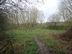 P2018DSC09600	Crossing the old railway cutting to the east of Gretton.