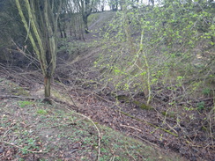 P2018DSC09604	Looking down into the old railway cutting to the east of Gretton.