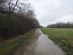 P2018DSC09608	The track leading east towards Harringworth Lodge.