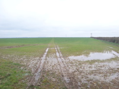 P2018DSC09620	A boggy sectrion of path above Shotley.