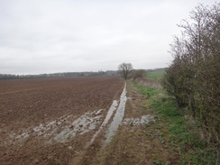 P2018DSC09652	The path between Turtle Bridge and Barrowden.