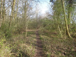 P2018DSC09682	The path through Wakerley Great Wood.