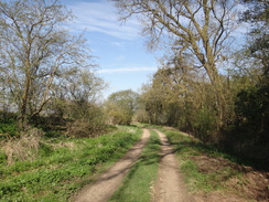 P2018DSC09725	The track leading north to the A43 at Duddington.