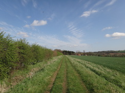 P2018DSC09756	The path between Tixover and Geeston.