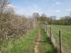 P2018DSC09758	The path between Tixover and Geeston.