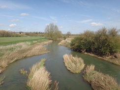 P2018DSC09766	The Welland at Collyweston Bridge.