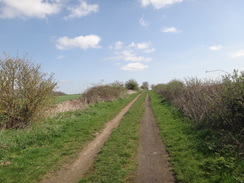 P2018DSC09772	Ketton Drift.