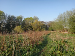 P2018DSC09851	The path heading towards St Peter's Bridge.