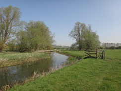 P2018DSC09951	The Nene between Barton Lock and Hardwater Mill.