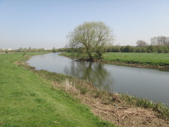 P2018DSC09975	Following the Nene from Great Doddington towards Irchester.