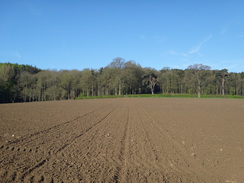 P2018DSC00058	Looking back towards Sibbertoft Wood.