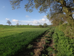 P2018DSC00060	The path on the way to East Farndon.