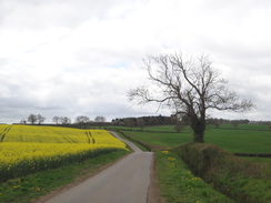 P2018DSC00112	Heading west along the road towards Haselbech.