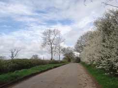 P2018DSC00115	The road between Haselbech and Naseby.