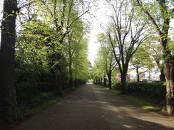 P2018DSC00155	Heading south down towards the river in Wellingborough.