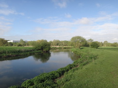 P2018DSC00168	The Nene east of Wellingborough,