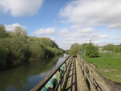 P2018DSC00201	Following the Nene east from Ditchford Bridge.