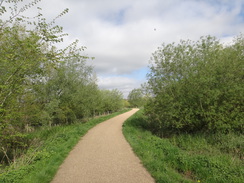 P2018DSC00227	The path between Higham Ferrers and Irthlingborough.