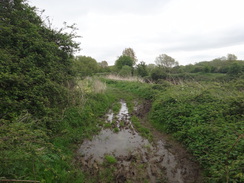 P2018DSC00250	A boggy stretch of path.