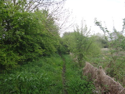 P2018DSC00289	The overgrown path leading into Woodford.