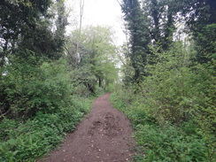 P2018DSC00298	The path through Woodford Shrubbery.