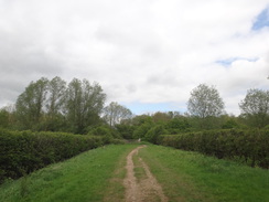 P2018DSC00311	Following the path north from  Denford Lock to the A14 viaduct.