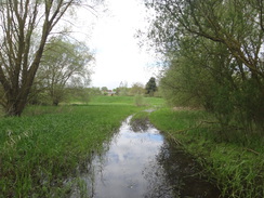 P2018DSC00335	A flooded stretch of path.