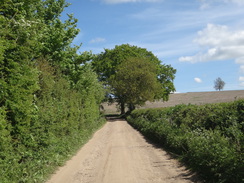 P2018DSC00509	The long track leading into Warkworth.