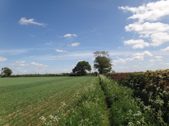 P2018DSC00514	Heading east towards Middleton Cheney.