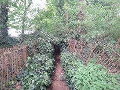 P2018DSC00534	The path leading north to Chacombe.