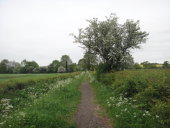 P2018DSC00779	The bridleway between Great Gidding and Luddington Lodge.