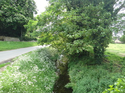 P2018DSC00815	A roadside stream in Barnwell.