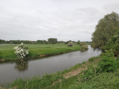 P2018DSC00856	The Nene between Oundle and the A605 bridge.