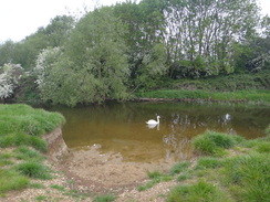 P2018DSC00887	The Nene near Ashton Lock.