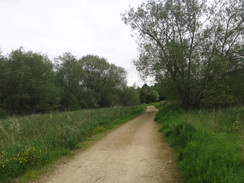 P2018DSC00900	The track leading to Ashton Mill.