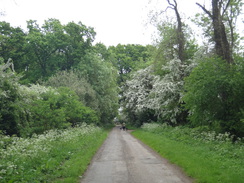 P2018DSC00909	Following the road east out of Ashton.