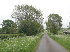 P2018DSC00921	Following a road southeastwards towards Lutton.