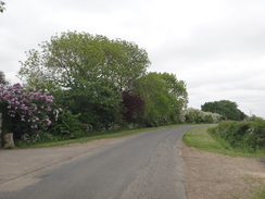 P2018DSC00951	The road between Lutton and Glatton.